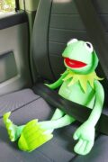Umbau: Ein Plüsch-Kermit sitzt angeschnallt auf dem Beifahrersitz.